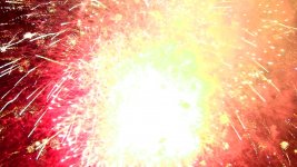 IMG_1833.jpg