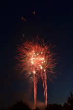 DSC_0006.jpg