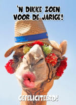 verjaardagskaart-met-kameel.png
