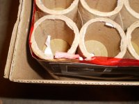 PA191334.jpg