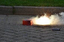 DSC_0498.jpg