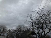 IMG_2761.jpg IMG_2761.jpg