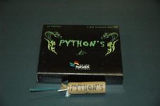pyton2.JPG