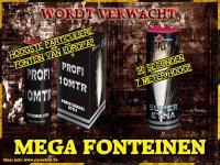 fonteinen.jpg