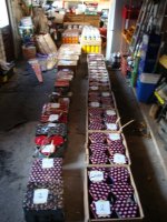 DSC01793.jpg