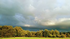 IMG_20190904_192722.jpg