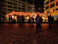 IMG_20191115_210403.jpg