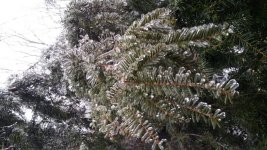 20170107_121904_HDR_1024x576.jpg
