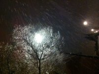 IMG_4925_1024x765.jpg
