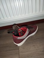 IMG_20191118_030820.jpg