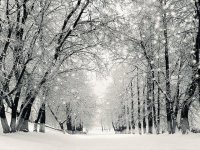 snowstormwinteras_si.jpg