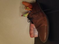 IMG_20191129_183633.jpg