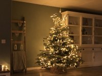 Kerstboom.jpg
