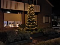 Kerstboom buiten.jpg