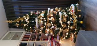 IMG-20191206-WA0014.jpg