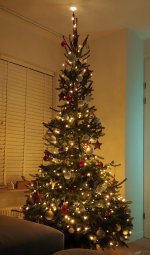 kerstboomthuis.jpg