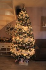 IMG_8560.jpg