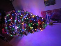 IMG_0104.jpg