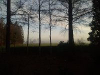 IMG_20191231_091813.jpg