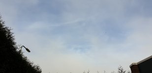 2019-12-31 12.22.10.jpg