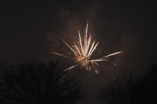 DSC_0586.jpg
