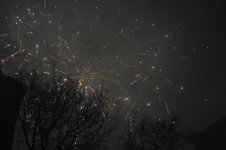 DSC_0689.jpg