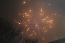 DSC_0824.jpg
