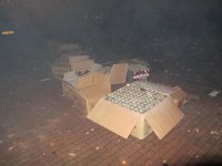 IMG_2801.jpg