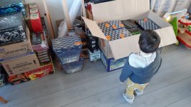 kids2.jpg