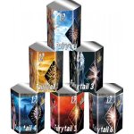 orthen_evolution_vuurwerk_FTA6_Fairytaill_Assortiment_Evoluion_Fireworks_New_2015_Groot-500x500-.jpg