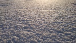 DSC_1492.jpg