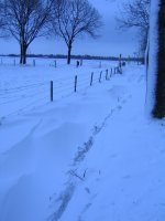 PICT0015.jpg