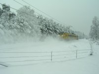PICT0118.jpg
