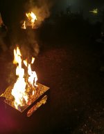 IMG_20200908_160226.jpg