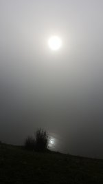 Screenshot_20200923-195748_Gallery.jpg