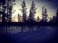 IMG_20170127_110228.jpg