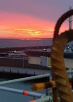 20201002_073901.jpg