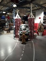 IMG_20201006_160808_3.jpg