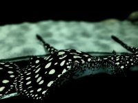 20201003_193828.jpg