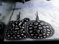 20201001_112637.jpg
