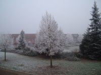 21 December 2007  WINTER!!! 004.jpg
