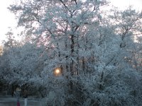 Koude winter 9-128.jpg