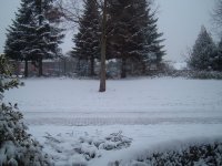 Sneeuw 014.jpg