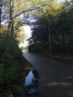 IMG_20201011_121116.jpg
