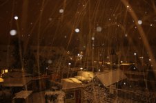 IMG_1529.jpg