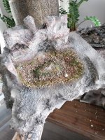 IMG_20201014_155039.jpg