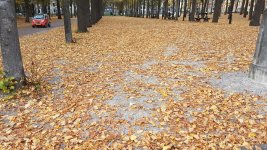 20201019_174426.jpg