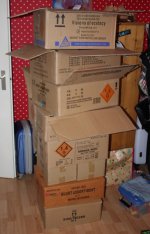 IMG_1569 (2).jpg