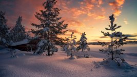 winter-morning-sunrise-forest-winter-landscape-besthqwallpapers.com-1920x1080.jpg