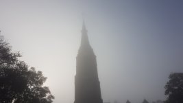 Screenshot_20201023-210418_Gallery.jpg